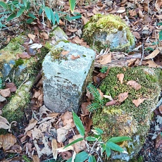 221028_p09.jpg