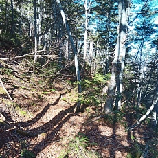 221028_p30.jpg