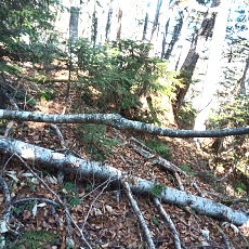 221028_p31.jpg