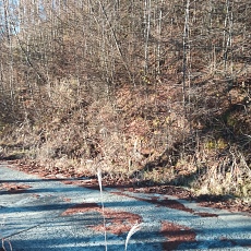 221127_p17.jpg