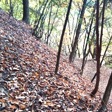 231030_p13.jpg