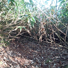 241022_p06.jpg