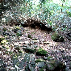 241022_p24.jpg