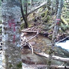 130606_p28.jpg