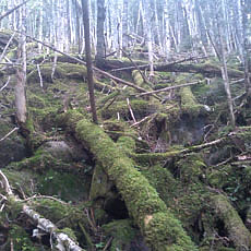 130706_p23.jpg