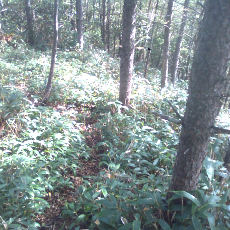 130914_p05.jpg