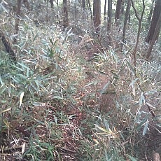 140913_p34.jpg