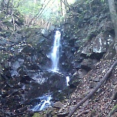 141020_p07.jpg