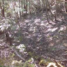150522_p32.jpg
