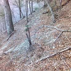 151207_p07.jpg