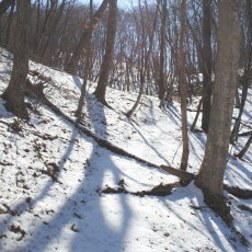 170304_p03.jpg