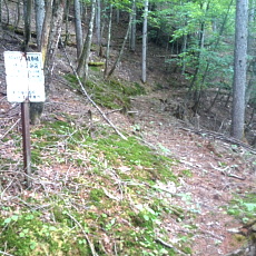190614_p19.jpg