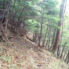 200024_p11.jpg