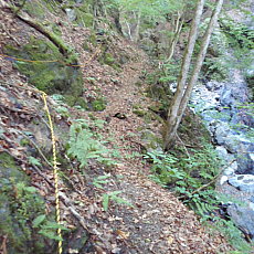 200605_p03.jpg