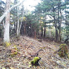 201018_p19.jpg