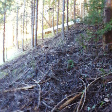 211020_p07.jpg