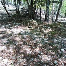 220528_p24.jpg