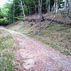 220618_p42.jpg