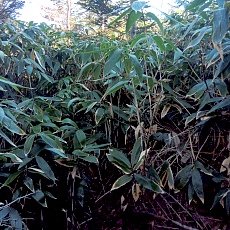 241112_p15.jpg