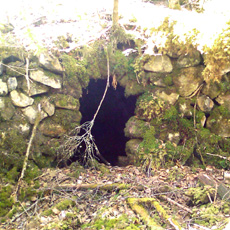 120430_p01.jpg
