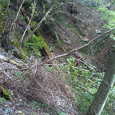 121007_p09.jpg