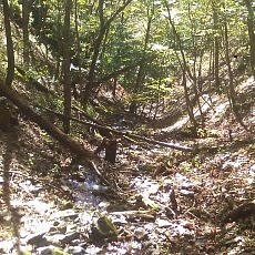 131013_p15.jpg