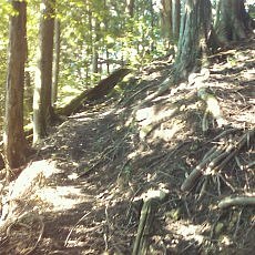 150711_p05.jpg