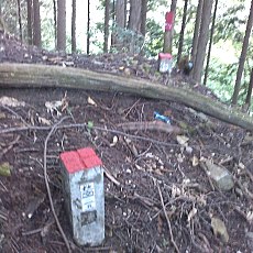 150905_p24.jpg