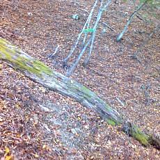 151025-01_p10.jpg