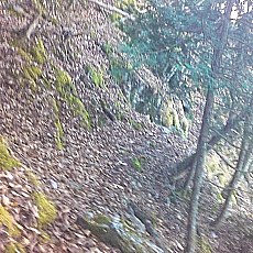 151103_p15.jpg
