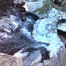 160109_p08.jpg
