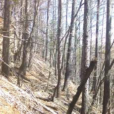 160419-02_p11.jpg