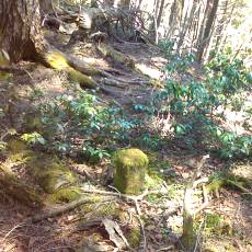 160505_p04.jpg