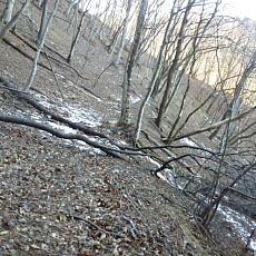 170203_p07.jpg