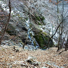 170203_p18.jpg