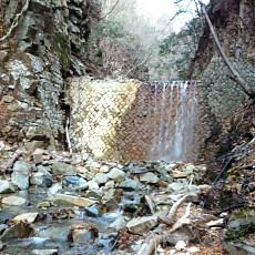 180329_p03.jpg