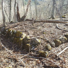 190505_p11.jpg