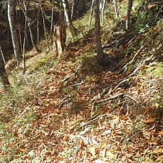 191104_p05.jpg