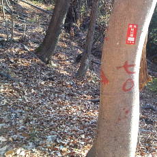 201206_p11.jpg
