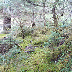 210916_p22.jpg