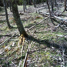 220528_p23.jpg