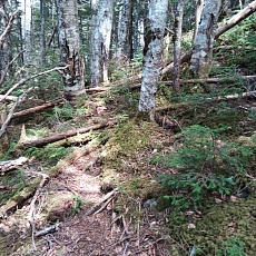 220528_p48.jpg