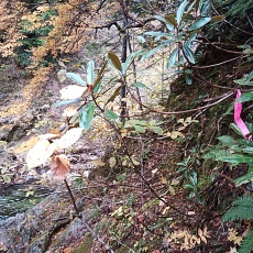 221014_p17.jpg