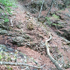230502_p27.jpg
