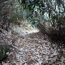 240530_p07.jpg