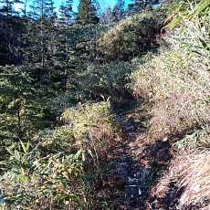 241112_p01.jpg