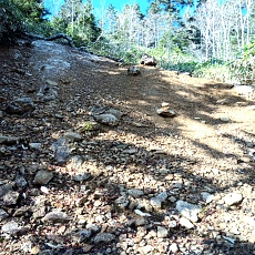 241112_p19.jpg