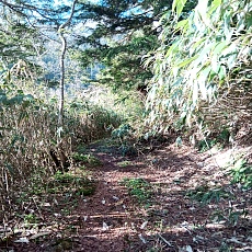 240530_p16.jpg