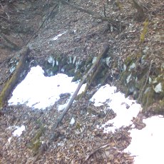 160320_p08.jpg