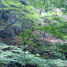 120916_p25.jpg